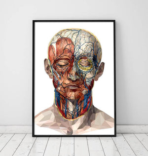 Geometrical face anatomy poster