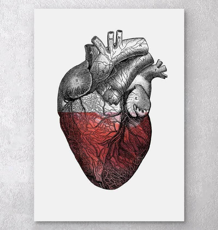 Anatomy art poster