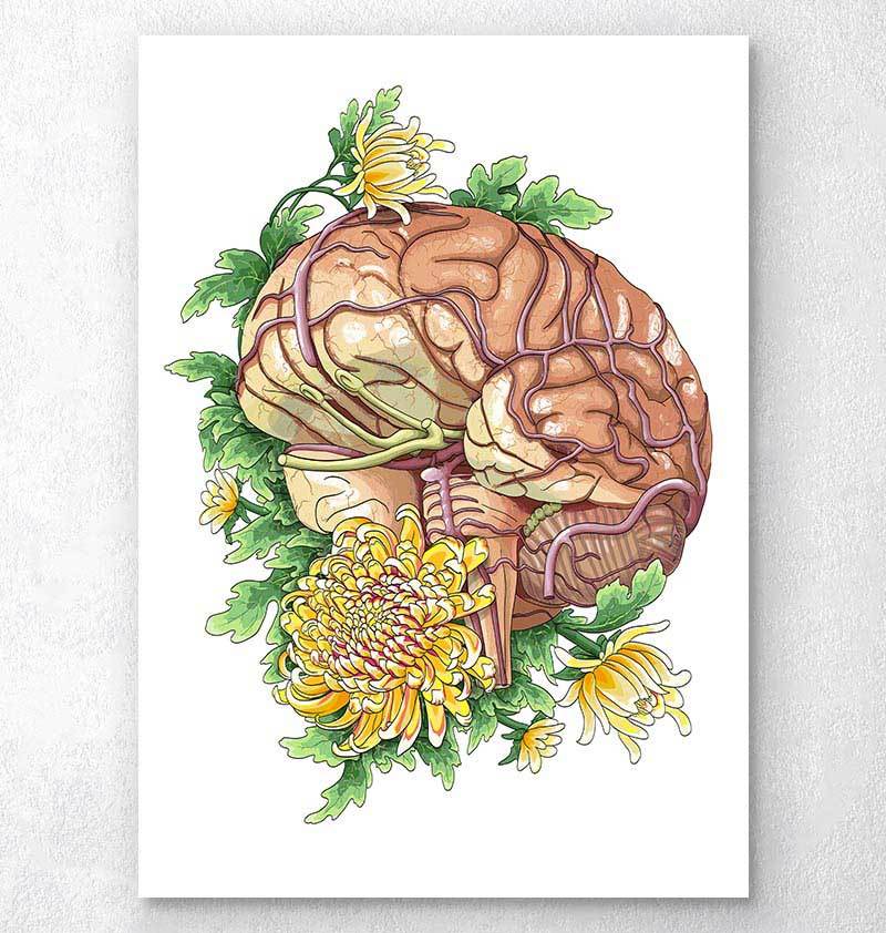 Brain anatomy art poster