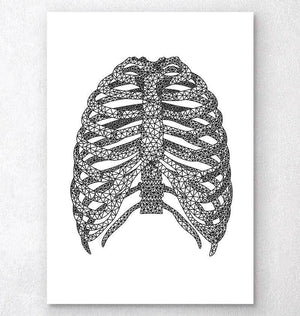 Minimal rib cage anatomy poster