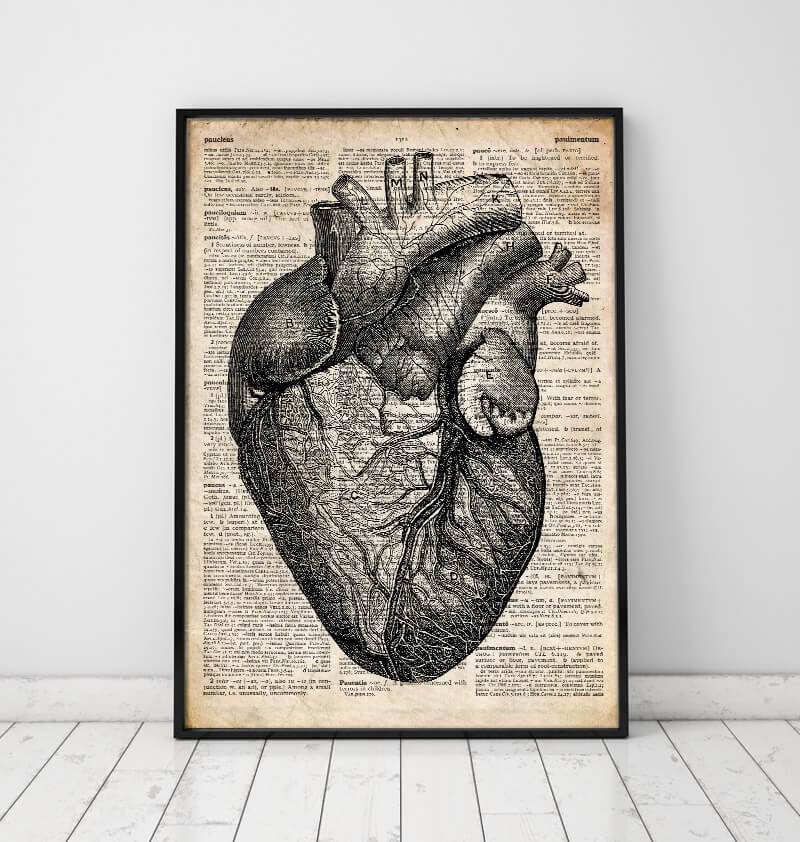 Heart anatomy medical poster on dictionary page