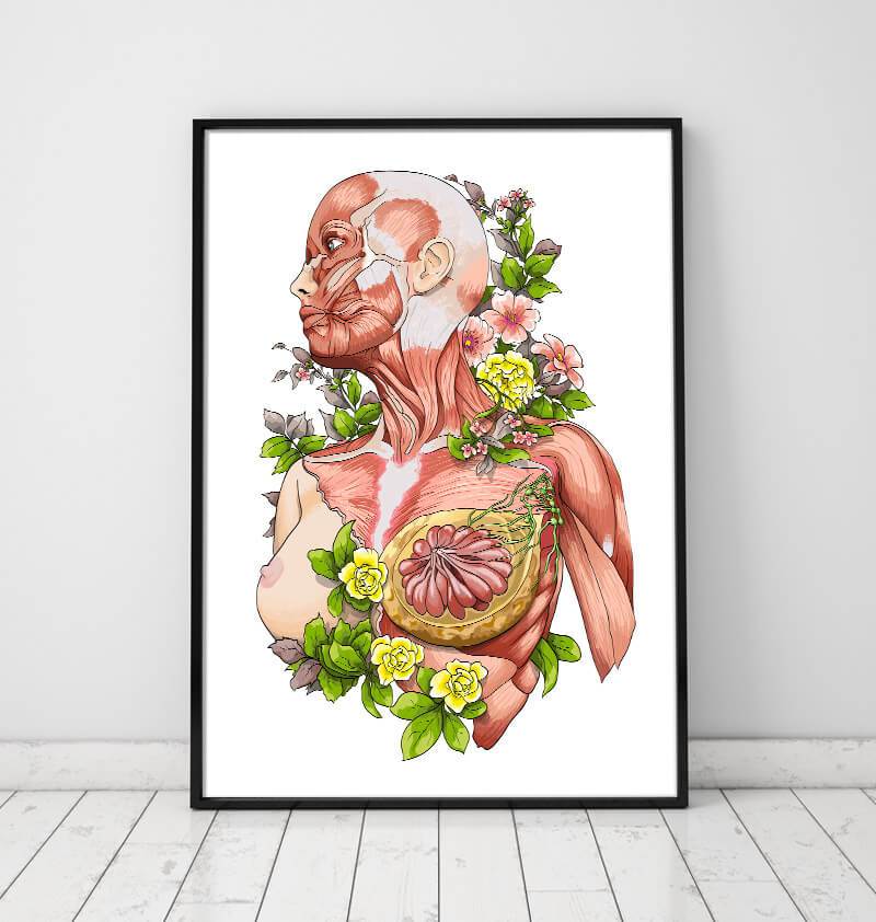 Woman body anatomy poster