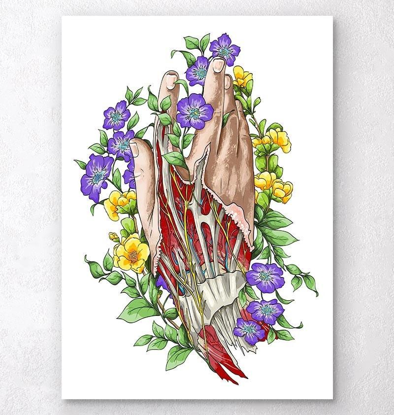 Hand anatomy art - White background