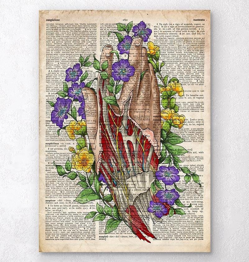 Hand anatomy art - Old dictionary page
