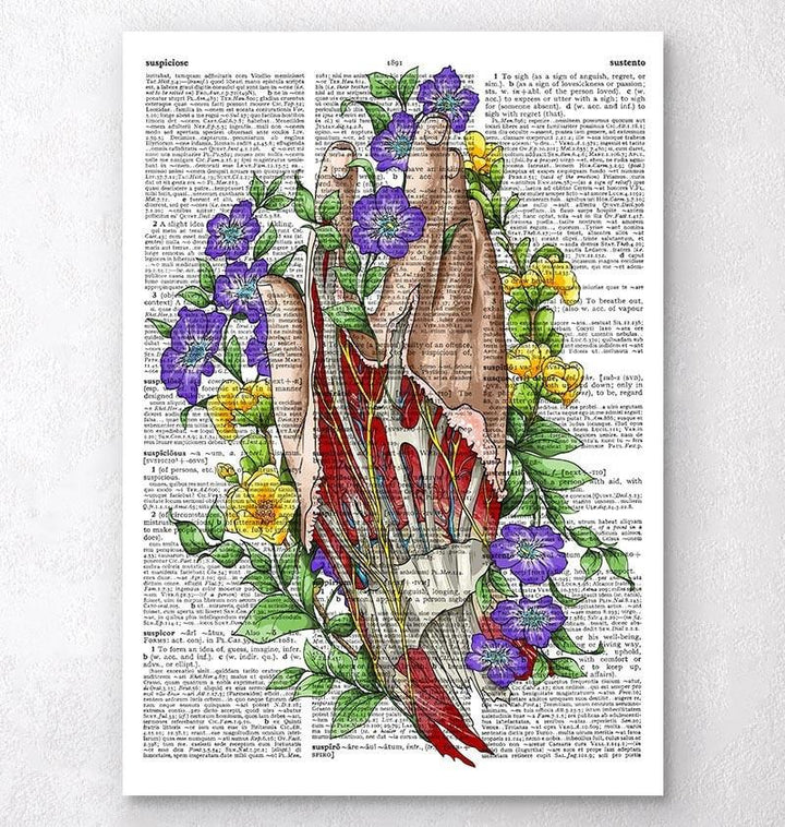 Hand anatomy art - Dictionary page