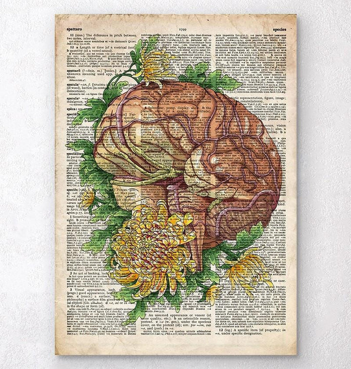 Brain Anatomy Anatomy Art Codex Anatomicus Tagged Floral Anatomy