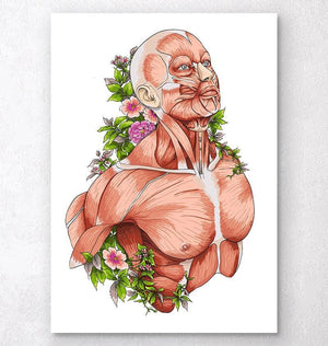 Male body anatomy art on white background
