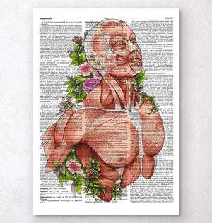 Male body anatomy art - Dictionary Page