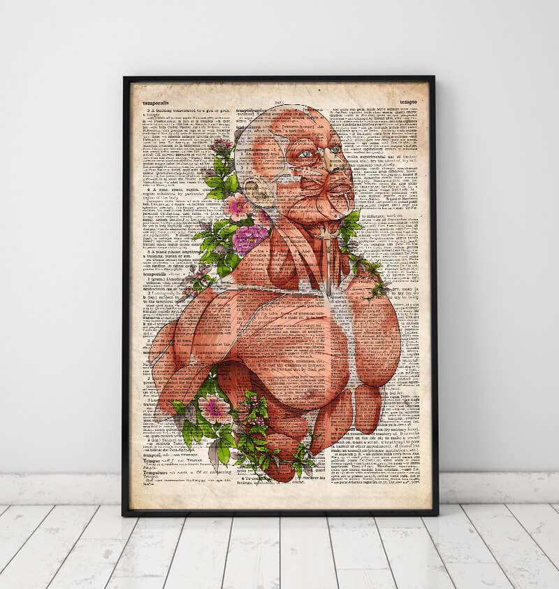Female body anatomy art - Gift for Nurses - Codex Anatomicus