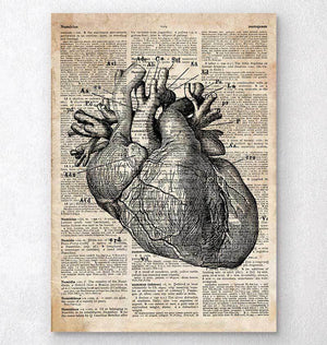 Anatomical heart patch - Gifts for Nurses - Codex Anatomicus