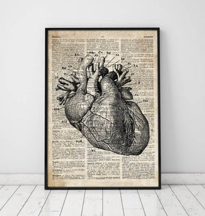 Heart anatomy art I - Old dictionary page