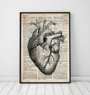 Heart anatomy art II - Old dictionary page