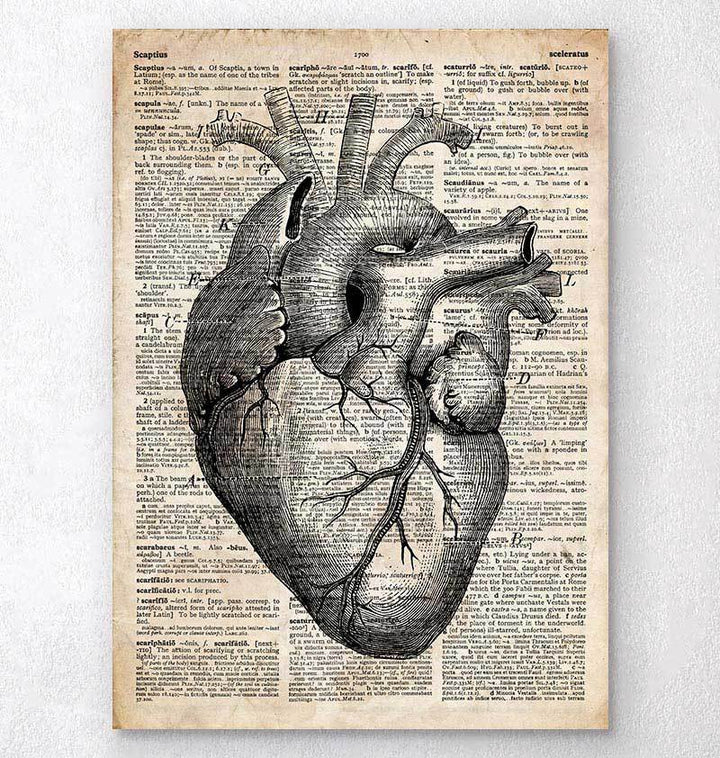 ↂ∏♙ Healthcare Watercolor Print Doctor Gift Stethoscope Caduceus Anatomical  Heart Medical Poster Clinic Wall Decor Nurse Gift | Lazada PH