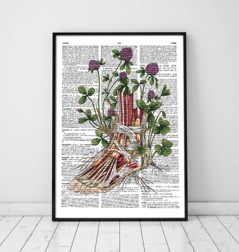 Floral foot anatomy - Dictionary page – Codex Anatomicus