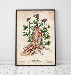 Floral anatomy art poster