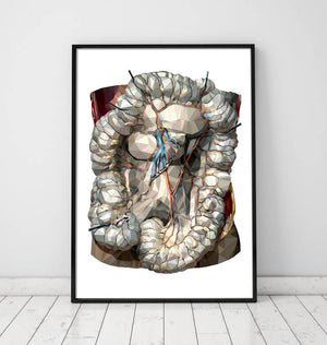 Intestines anatomy art print by codex anatomicus
