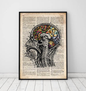 Brain anatomy art poster on old dictionary page
