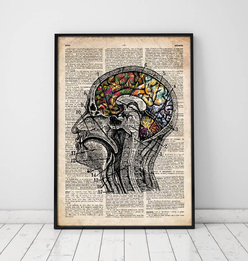 Brain anatomy art poster on old dictionary page
