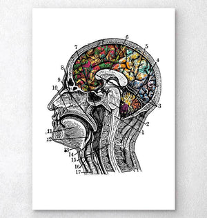 cool brain pictures