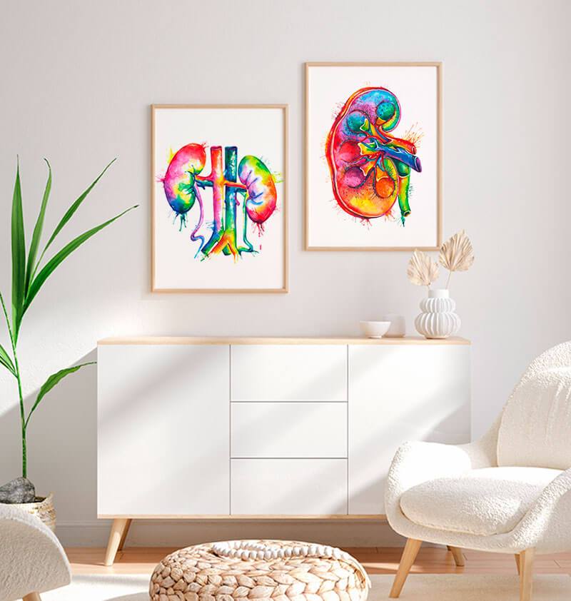 Watercolor kidneys anatomy art print – Codex Anatomicus