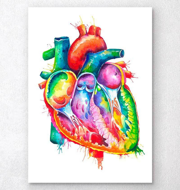 Anatomical human heart acrylic painting 8x8 inch fine art print