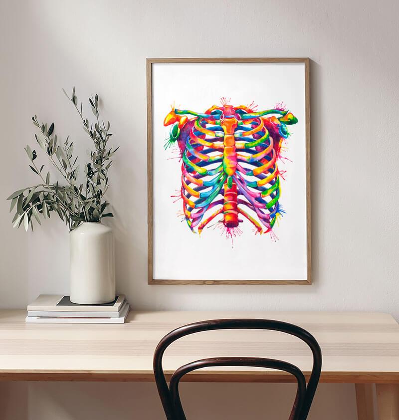 Rib cage anatomy art - Codex Anatomicus