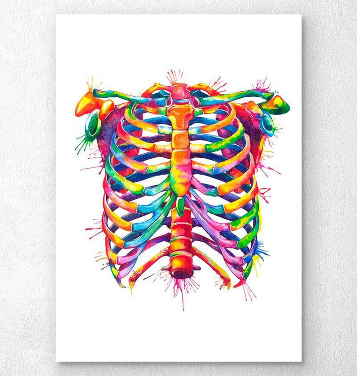 Anatomy art