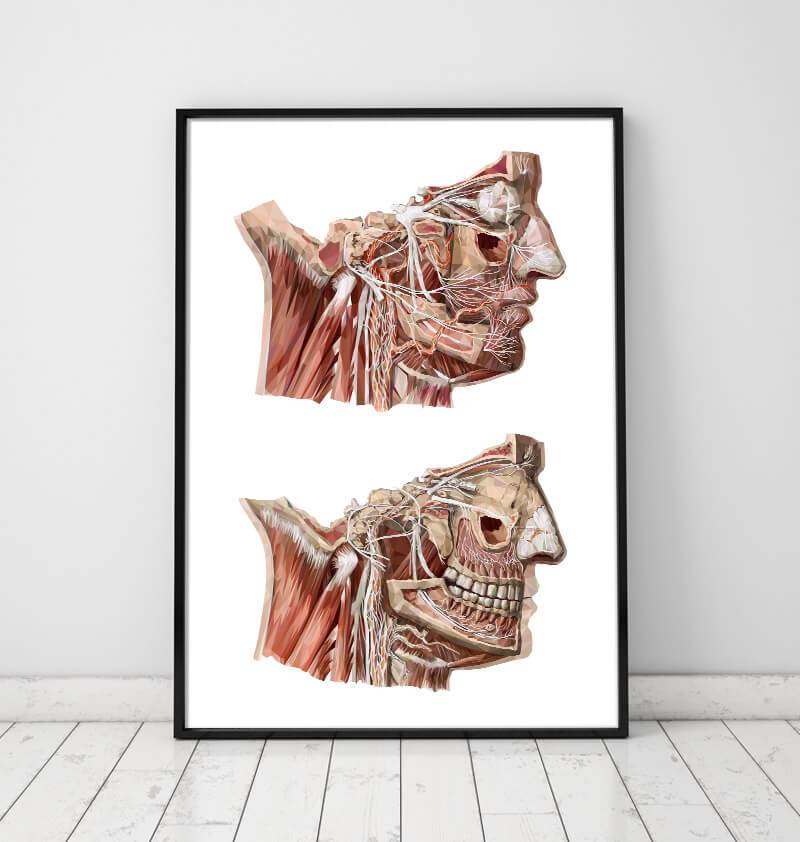Geometrical face anatomical art print