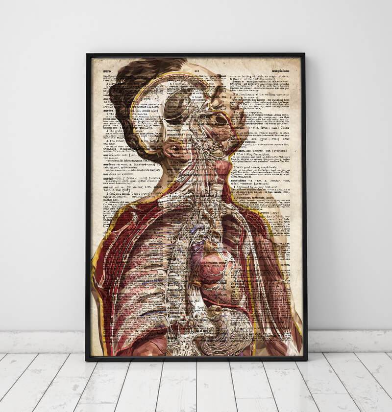 Human anatomy dictionary poster