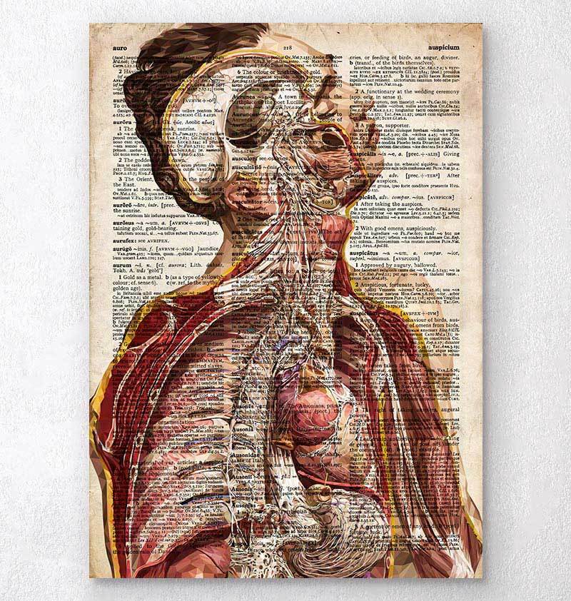 Simple Human Heart Diagram 2 Metal Print by Vintage Anatomy Prints - Fine  Art America