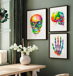 Anatomical skull poster