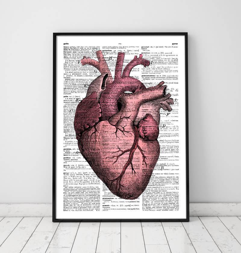 Heart anatomy dictionary art print in a black frame