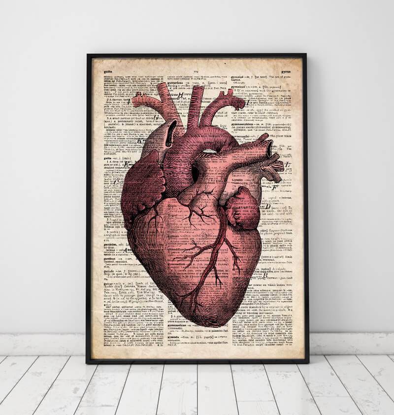 Heart anatomy dictionary art print - Anatomy Art - Codex Anatomicus