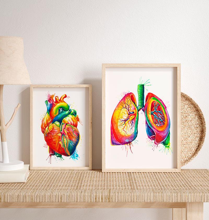 Anatomical lungs