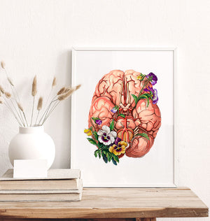 Gehirn Anatomie - Floral