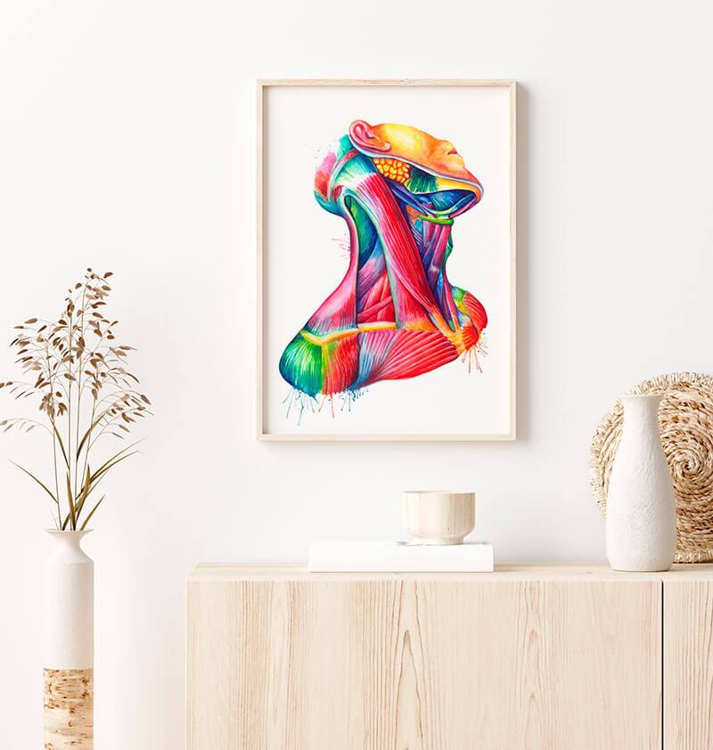 Neck muscles anatomy art print in a frame by codex anatomicus