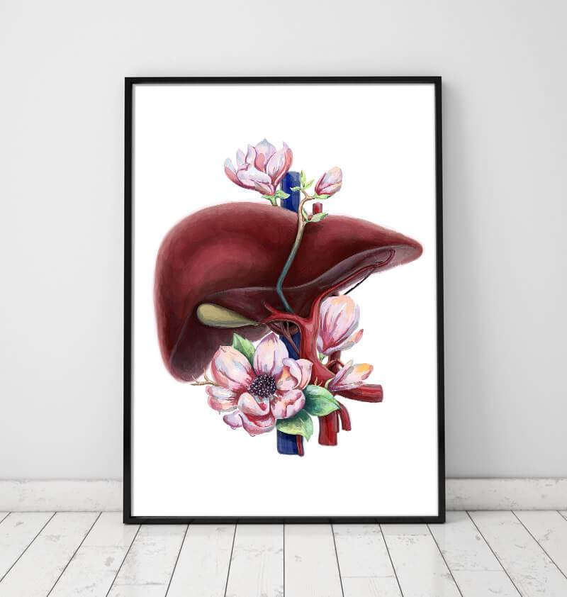 Floral liver anatomy art print - Codex Anatomicus