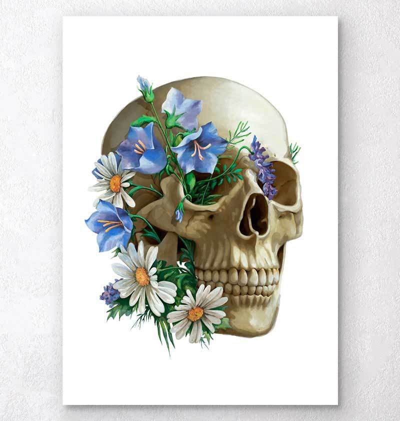 Floral skull anatomy art print - Codex Anatomicus, floral skulls