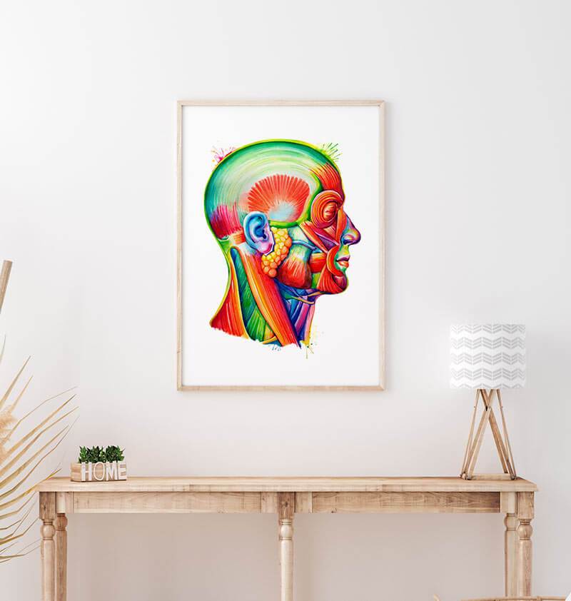 Head anatomy poster in watercolor by codex anatomicus