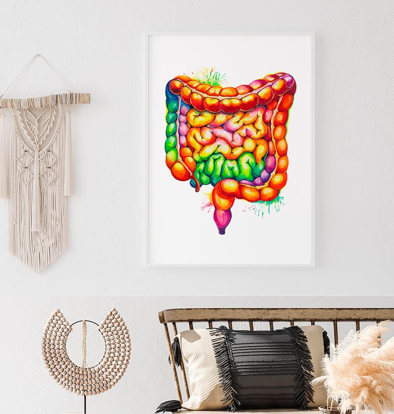 Intestines anatomy art in watercolor style in a frame