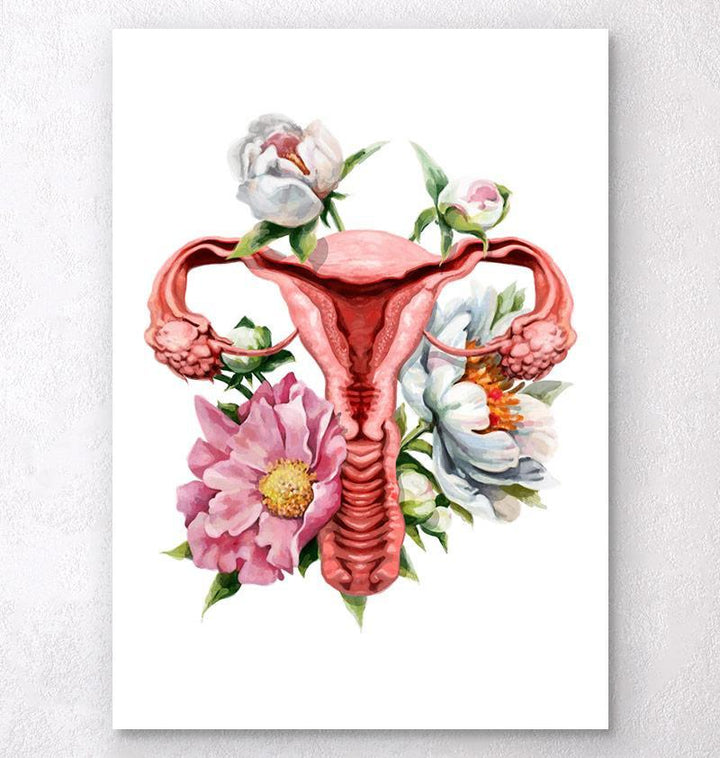 Uterus anatomy