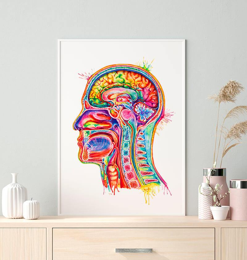brain anatomy poster in watercolor by codex anatomicus in a black frame