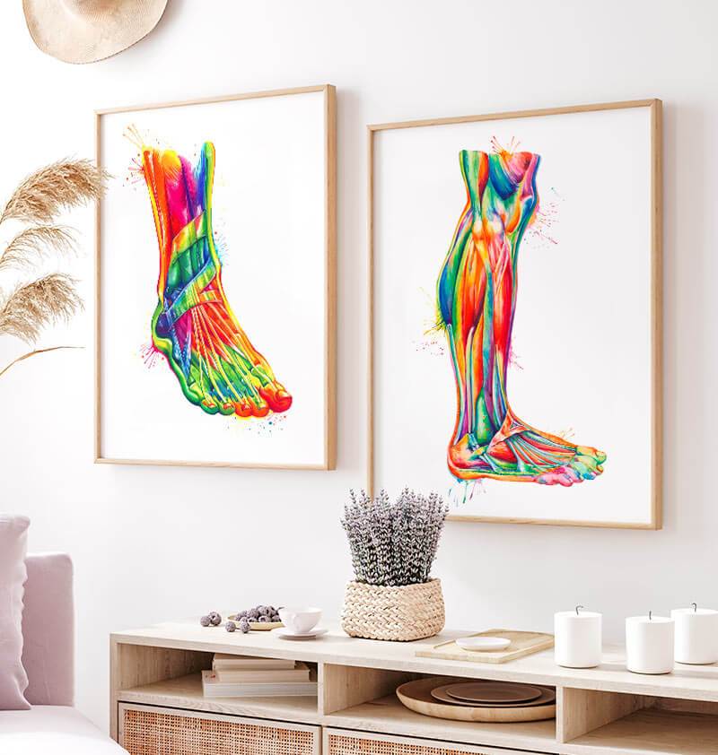 Leg anatomy art - Watercolor Anatomy Poster
