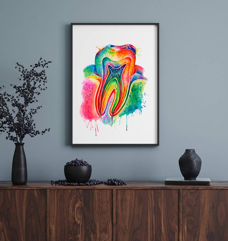 Tooth anatomy art print in watercolor by Codex Anatomicus