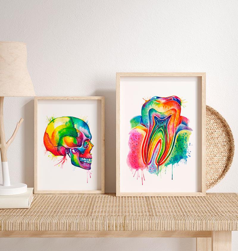 Teeth Artoc Tooth anatomy art print - Codex Anatomicus