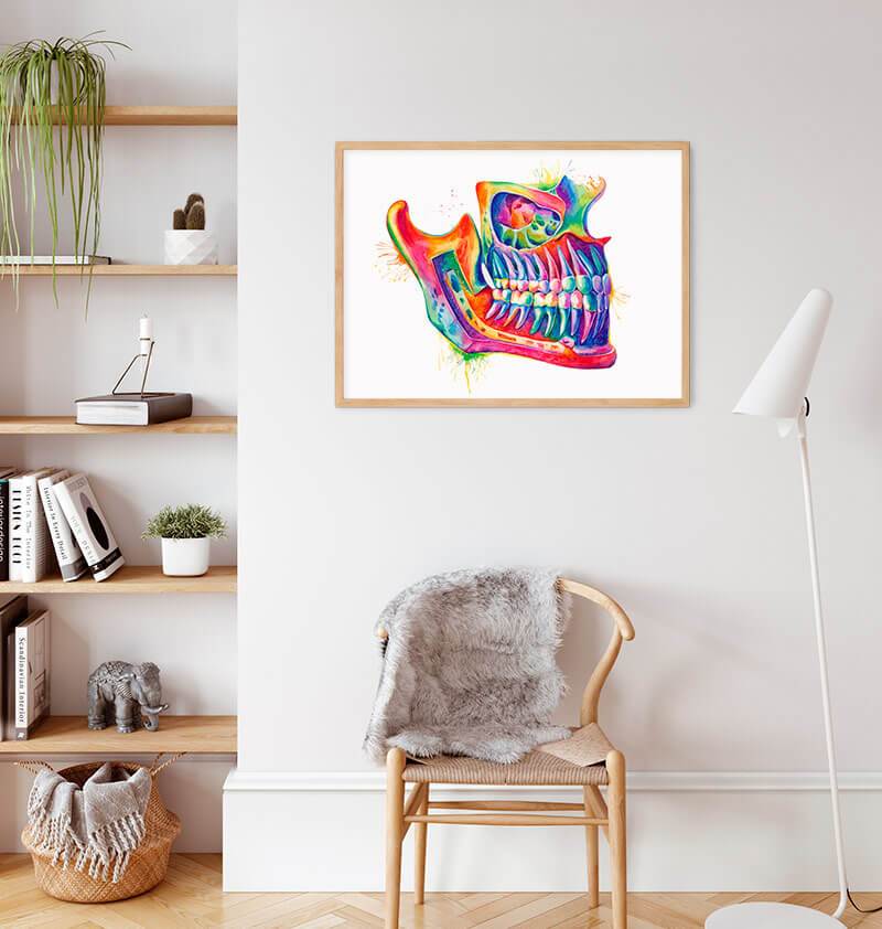 Jaw anatomy poster in a frame
