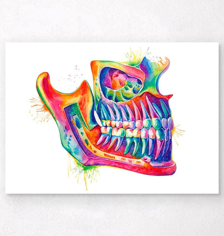 Human jaw anatomy poster