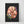 Load image into Gallery viewer, Brain anatomy poster
