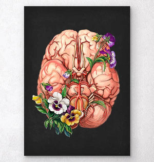 Floral anatomy of a brain
