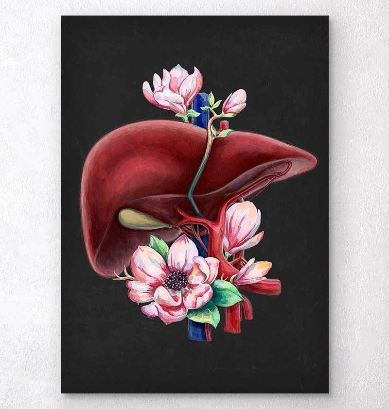 Floral liver anatomy art print - Codex Anatomicus